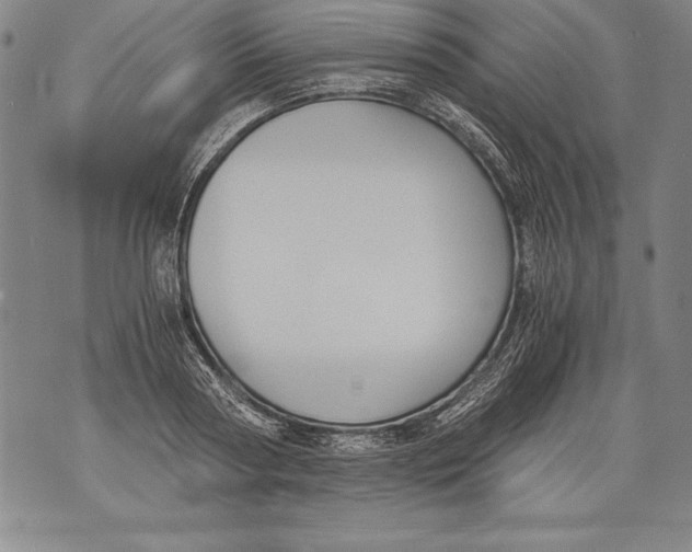 X0000076090794200610152317