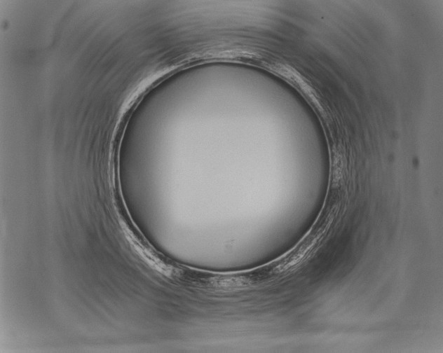 X0000076090795200610152317