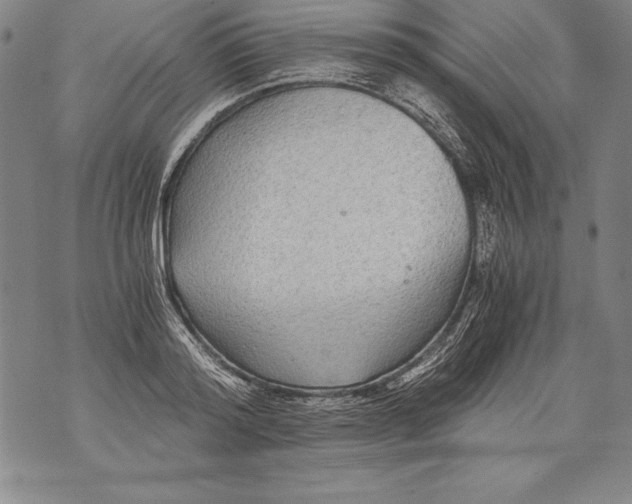 X0000076090796200610152317