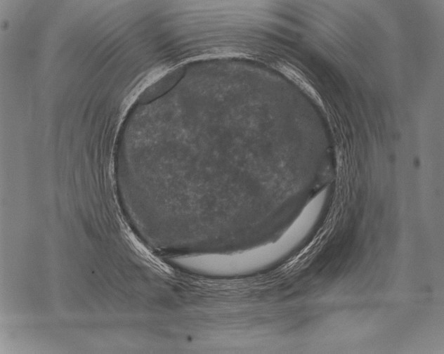 X0000076090797200610152317