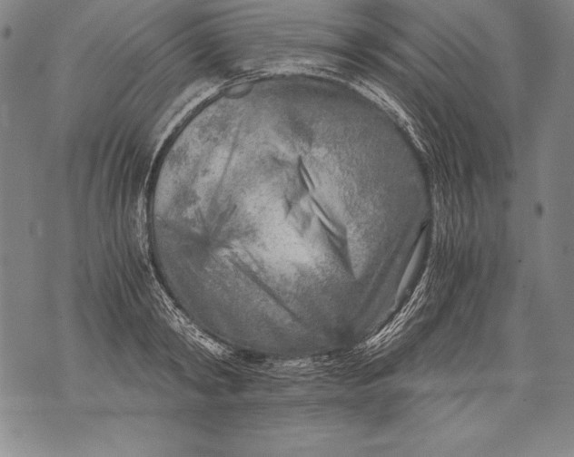 X0000076090798200610152317