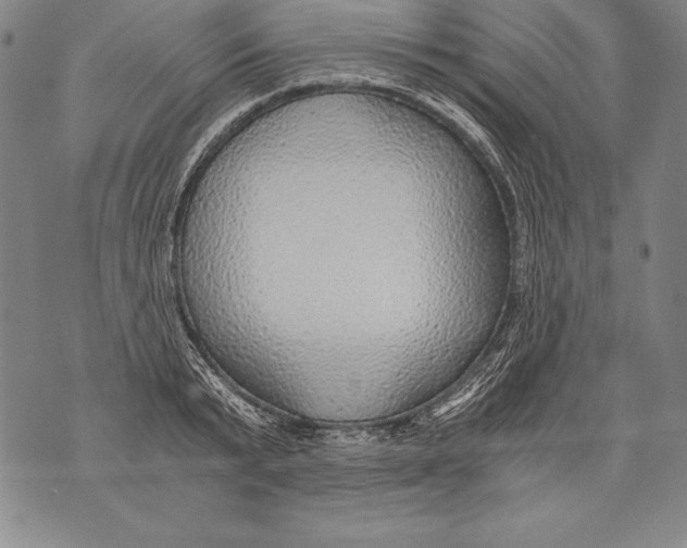 X0000076090799200610152317