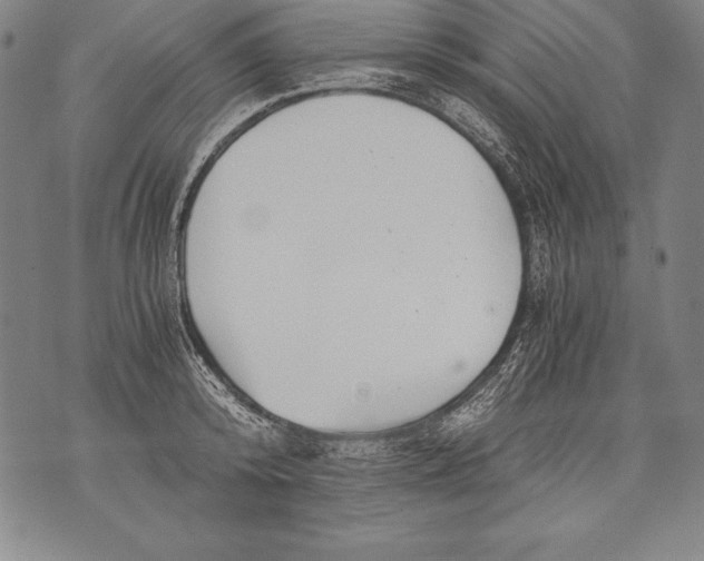 X0000076090800200610152317