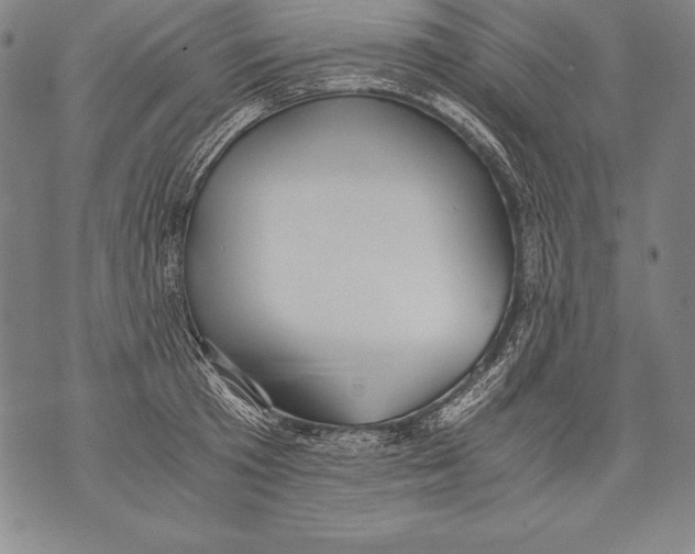 X0000076090801200610152317