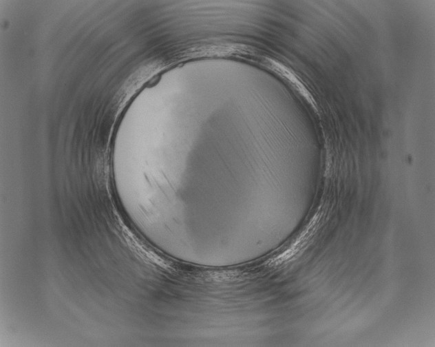 X0000076090802200610152317