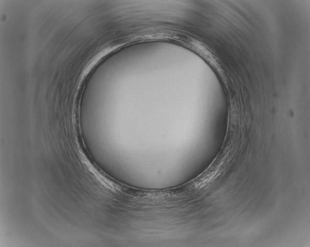 X0000076090803200610152317