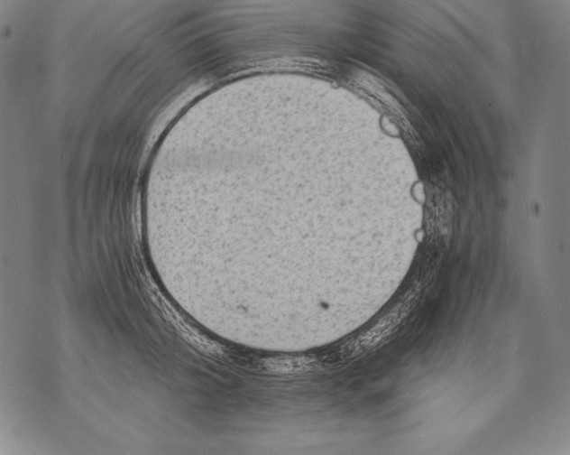 X0000076090804200610152317