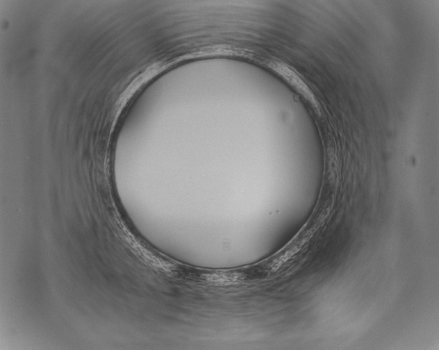 X0000076090805200610152317