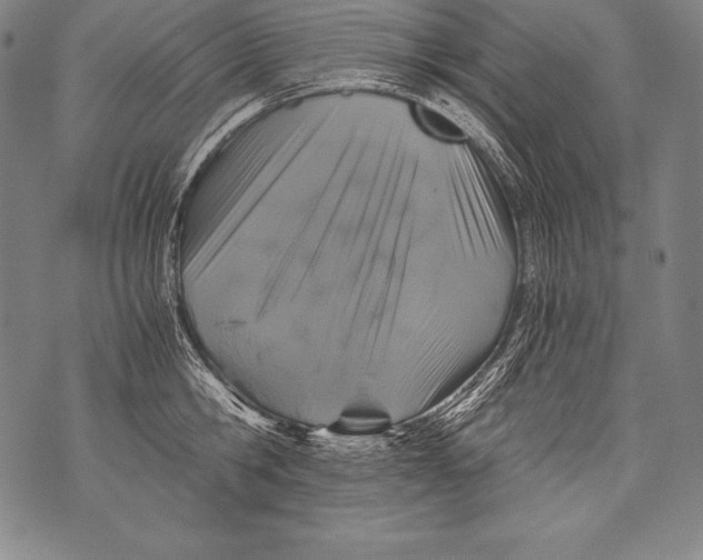 X0000076090806200610152317