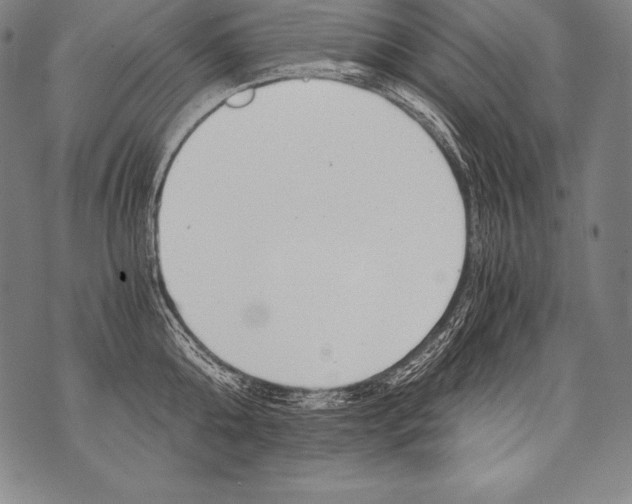 X0000076090808200610152317