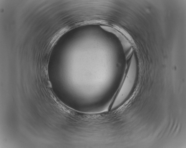 X0000076090809200610152317