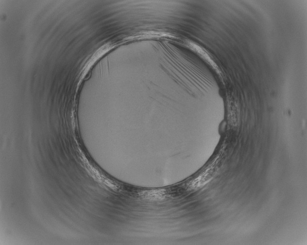 X0000076090810200610152317