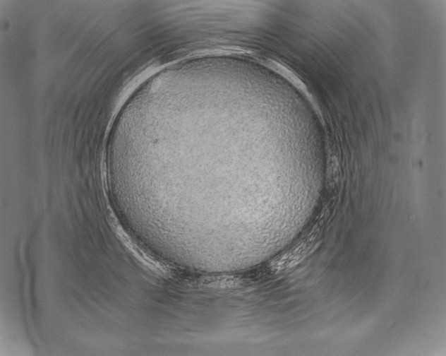 X0000076090811200610152317