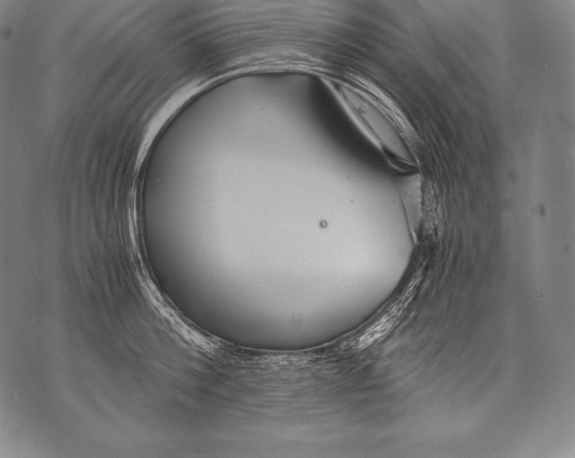 X0000076090812200610152317