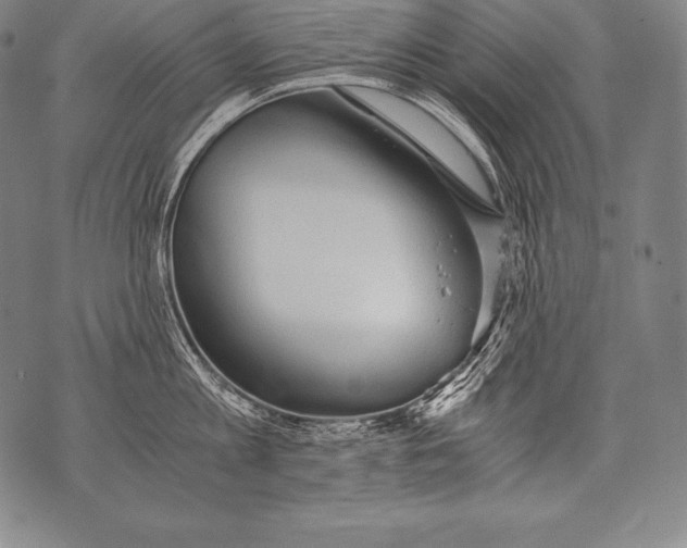 X0000076090813200610152317