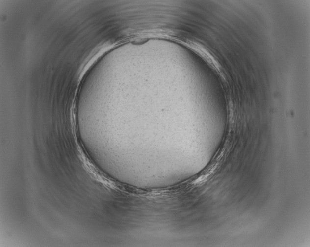 X0000076090814200610152317