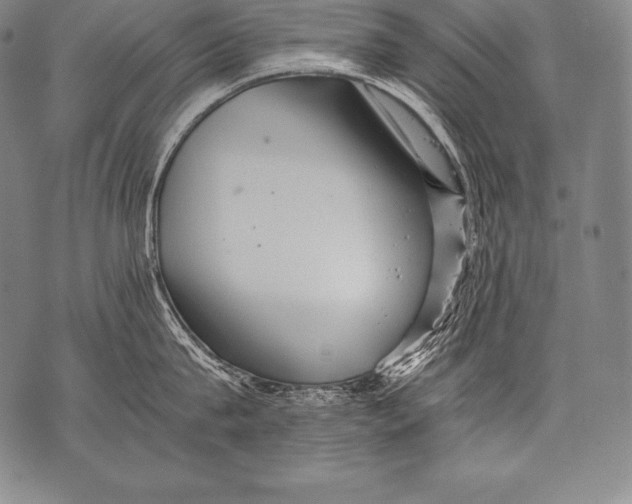 X0000076090815200610152317