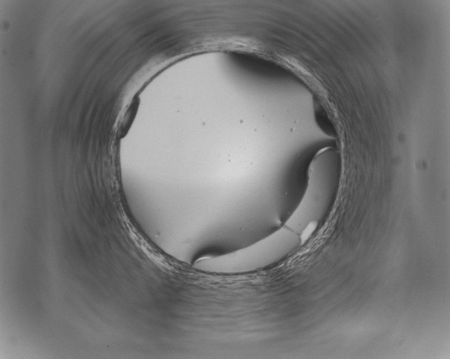 X0000076090816200610152317