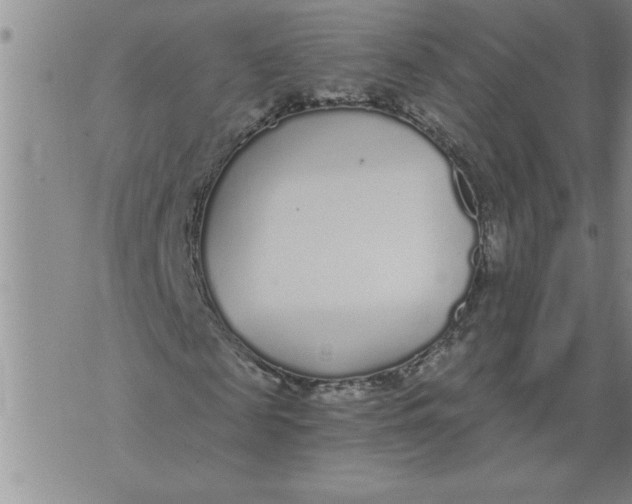 X0000076090817200610152316