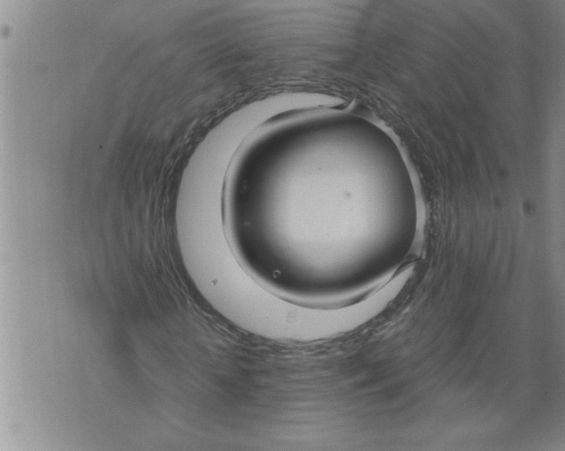 X0000076090818200610152316