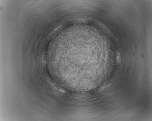 X0000076090819200610152316