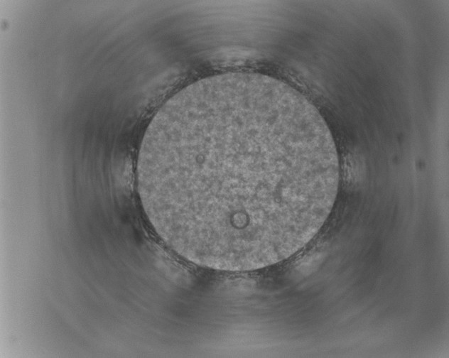 X0000076090820200610152316