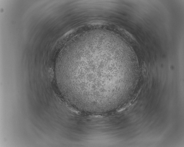 X0000076090821200610152316