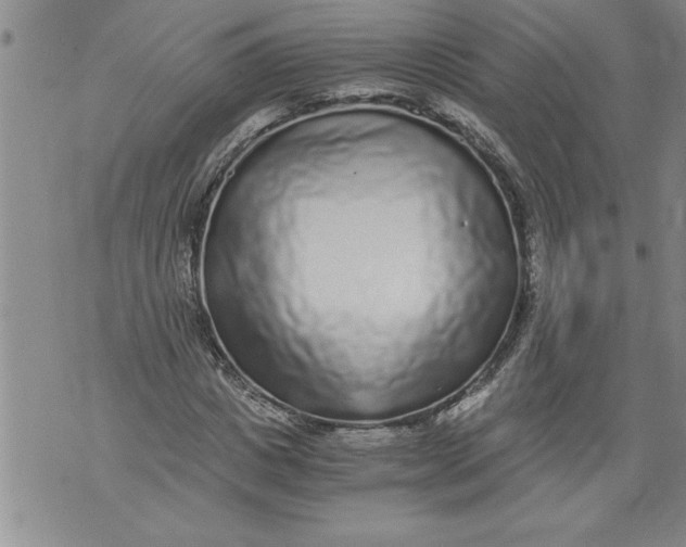 X0000076090825200610152316