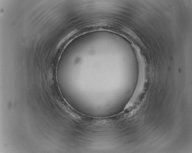 X0000076090826200610152316