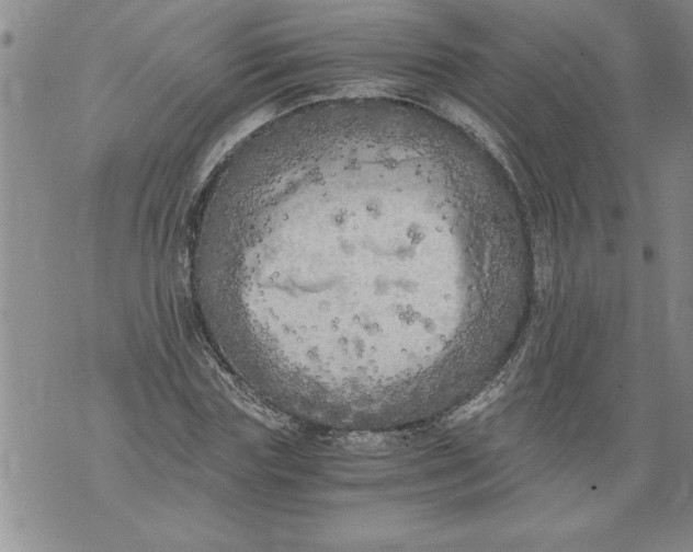 X0000076090827200610152316