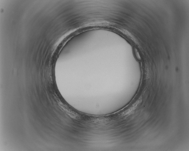 X0000076090830200610152316