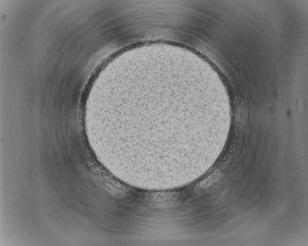 X0000076090832200610152316