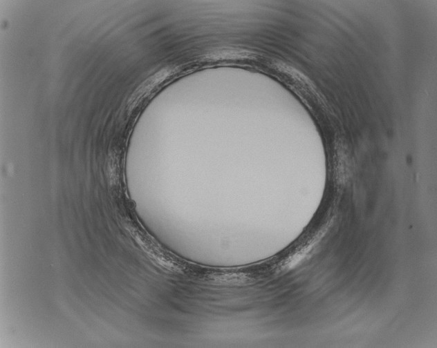 X0000076090833200610152316