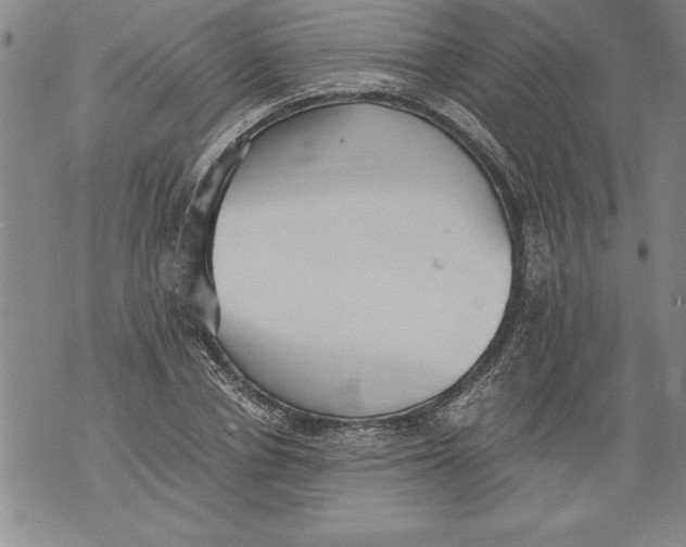 X0000076090834200610152316