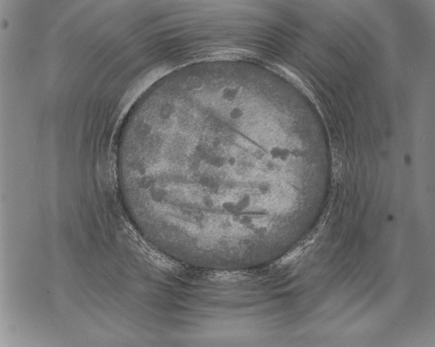 X0000076090835200610152316