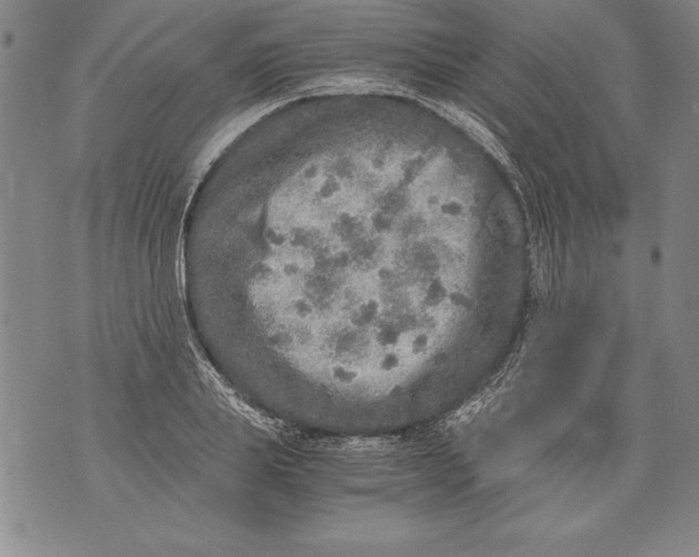 X0000076090839200610152316