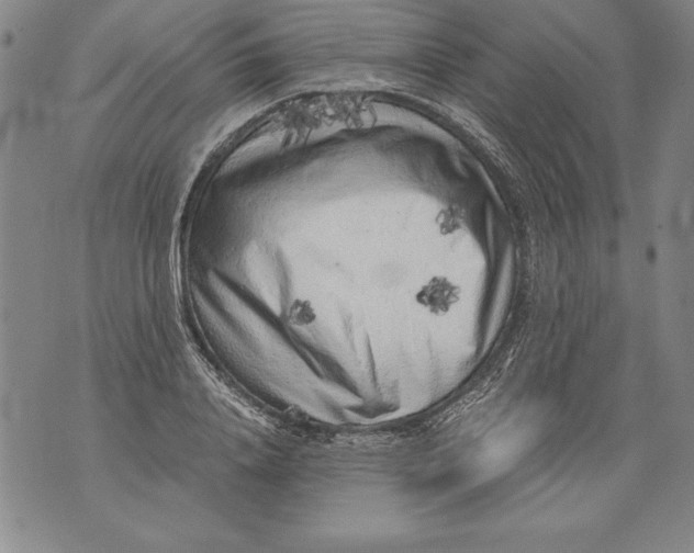 X0000076090840200610152316