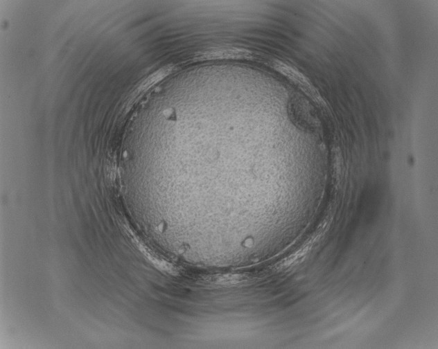 X0000076090841200610152316