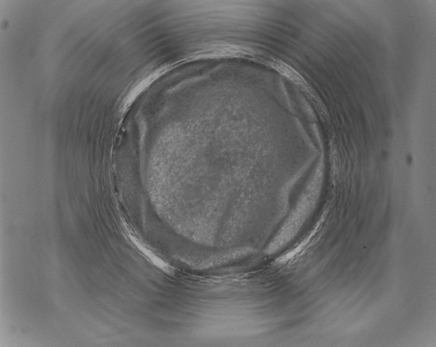 X0000076090842200610152316