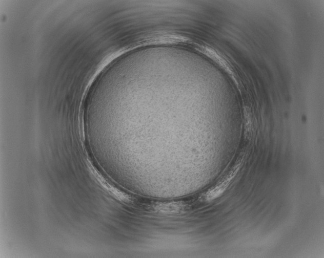 X0000076090843200610152316