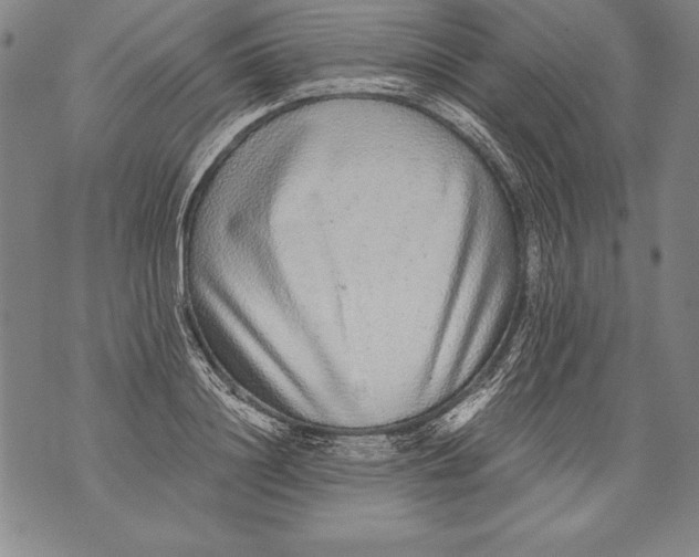 X0000076090844200610152316