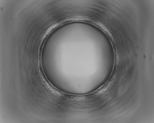 X0000076090845200610152316