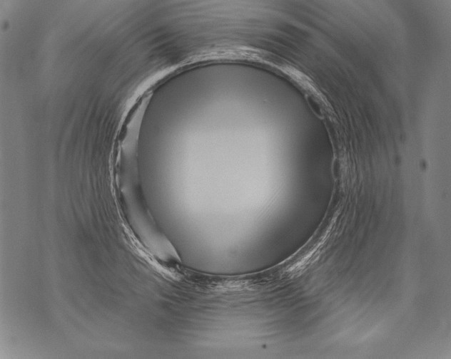 X0000076090846200610152316