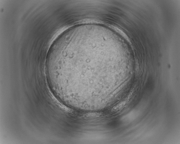 X0000076090847200610152316