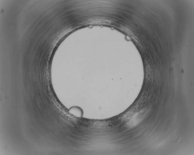 X0000076090848200610152316