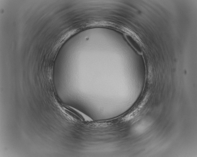 X0000076090849200610152316