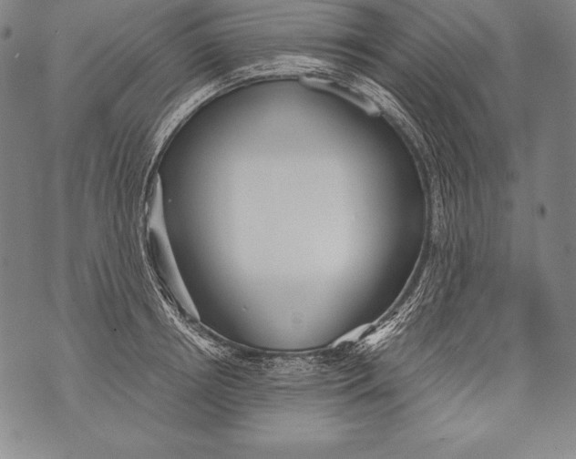 X0000076090850200610152316