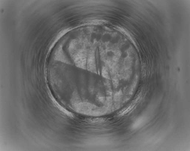 X0000076090851200610152316