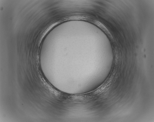 X0000076090852200610152316