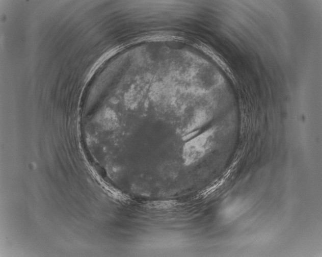 X0000076090853200610152316